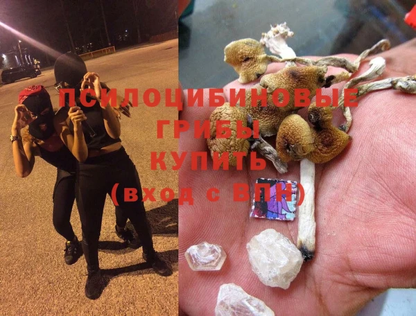 а пвп мука Армянск