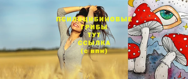 а пвп мука Армянск