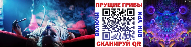 где найти наркотики  Меленки  Псилоцибиновые грибы Psilocybe 